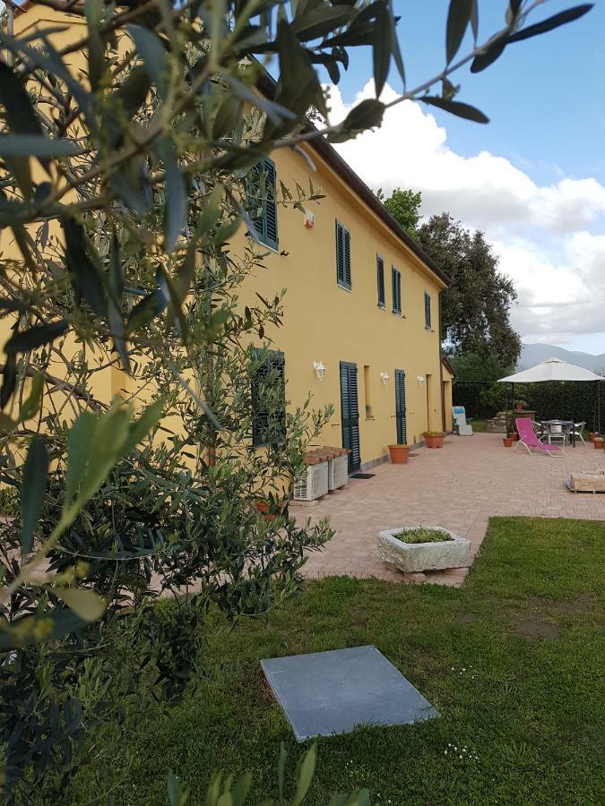 Podere Gabry Apartamento Arena Metato Exterior foto