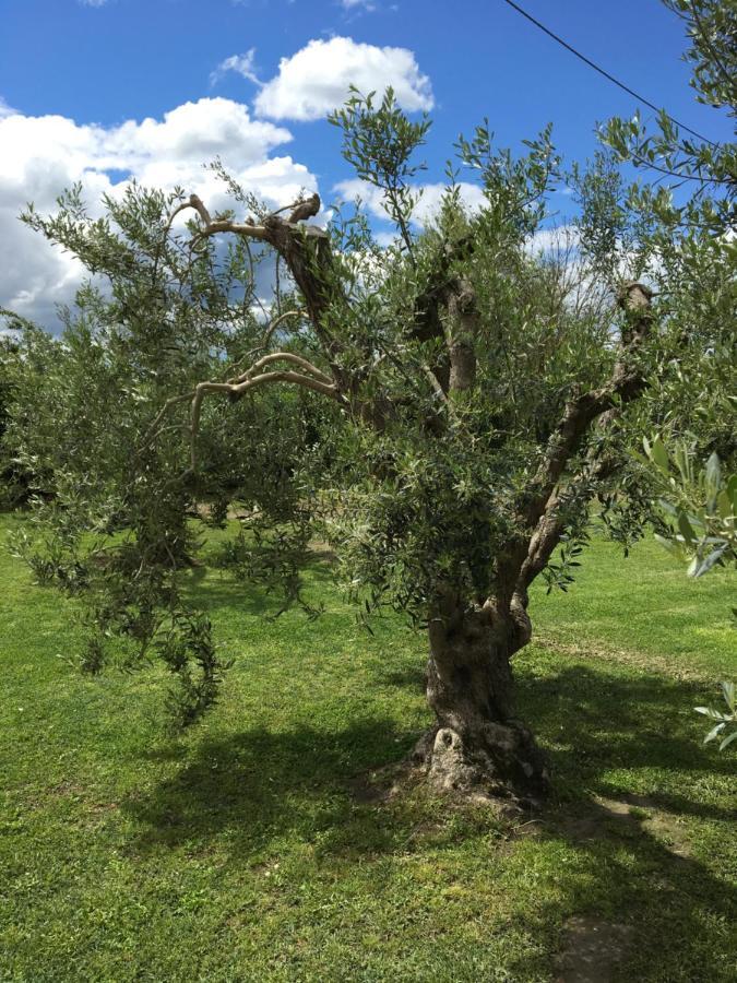 Podere Gabry Apartamento Arena Metato Exterior foto